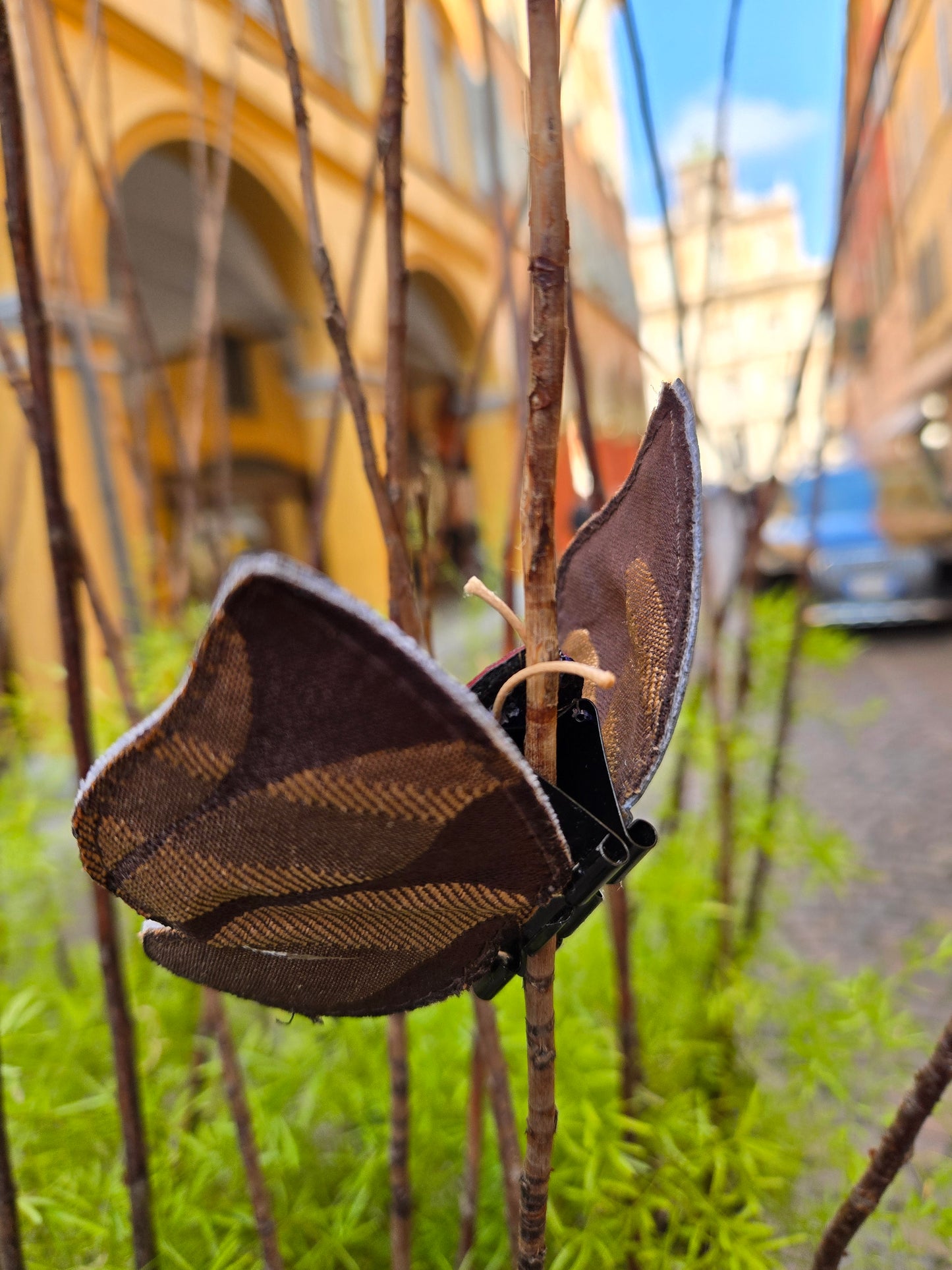 BELLA FARFALLA