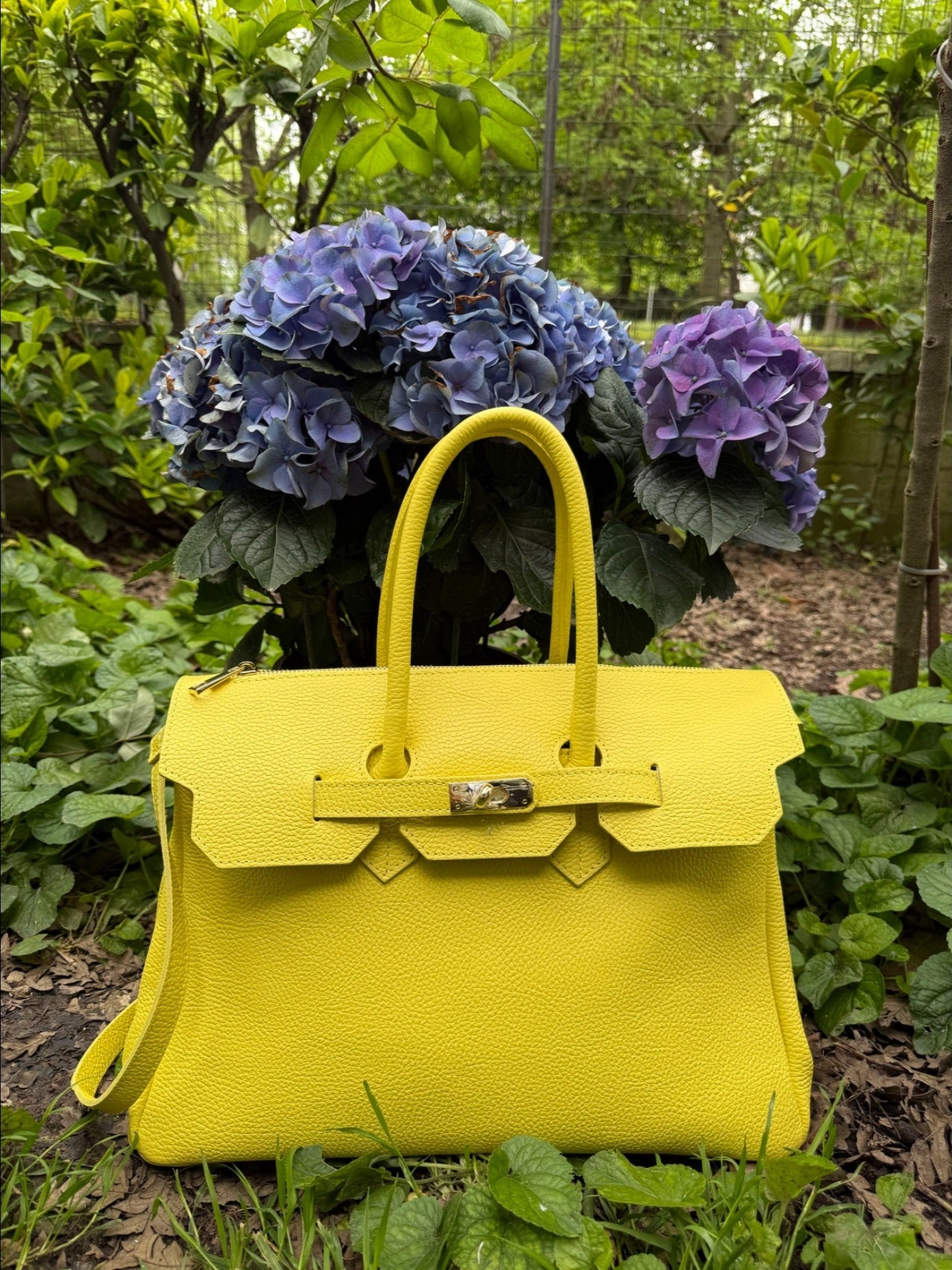 JACQUELINE GIALLO LIMONE