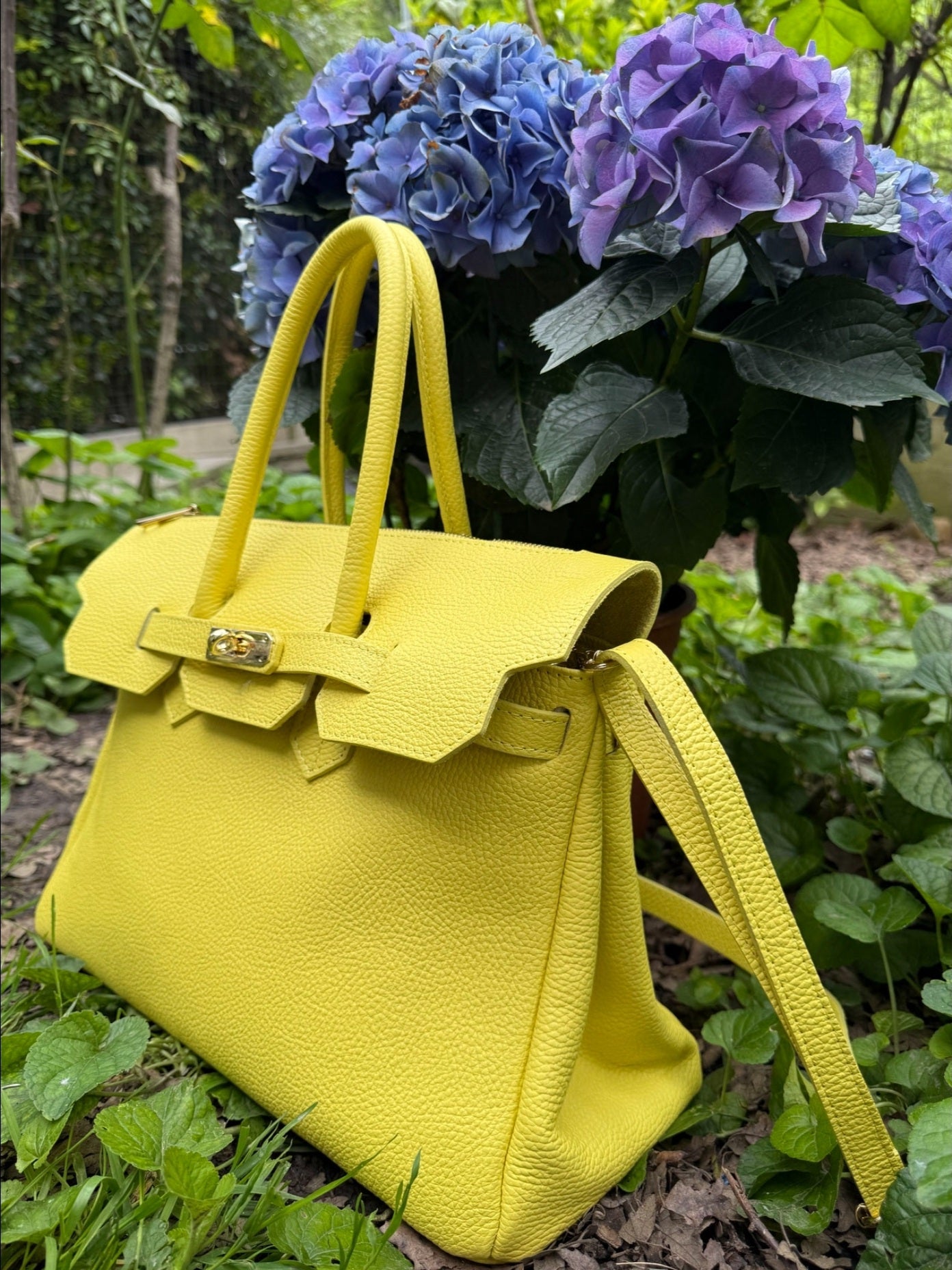 JACQUELINE GIALLO LIMONE